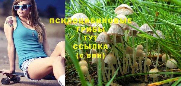 соль ск Абдулино